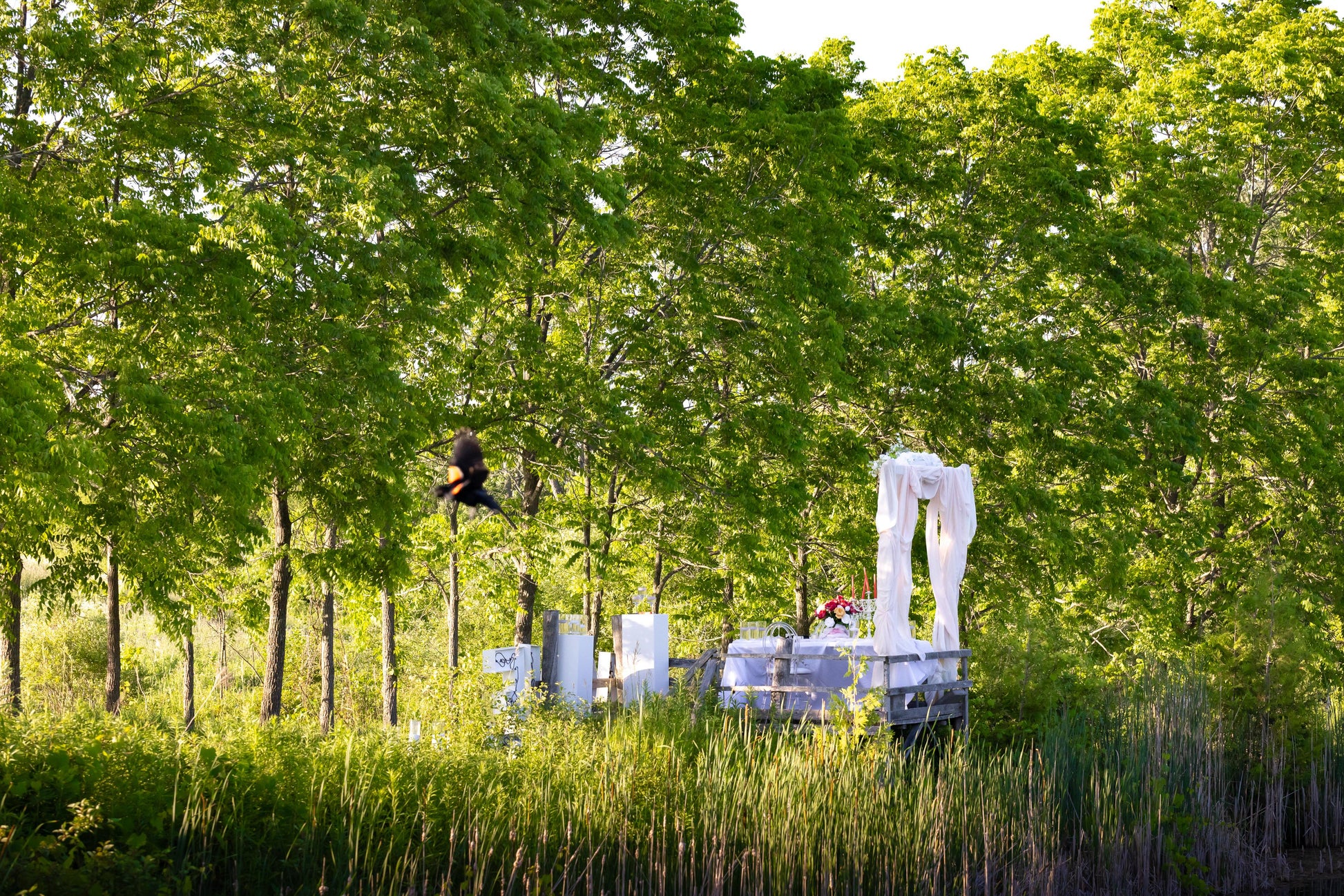 White sculpture in a forest setting with trees and grass.